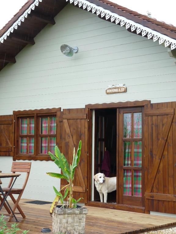 Le Trot'In Chair Bed and Breakfast Martigny-le-Comte Pokój zdjęcie