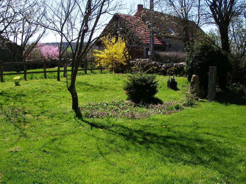 Le Trot'In Chair Bed and Breakfast Martigny-le-Comte Zewnętrze zdjęcie